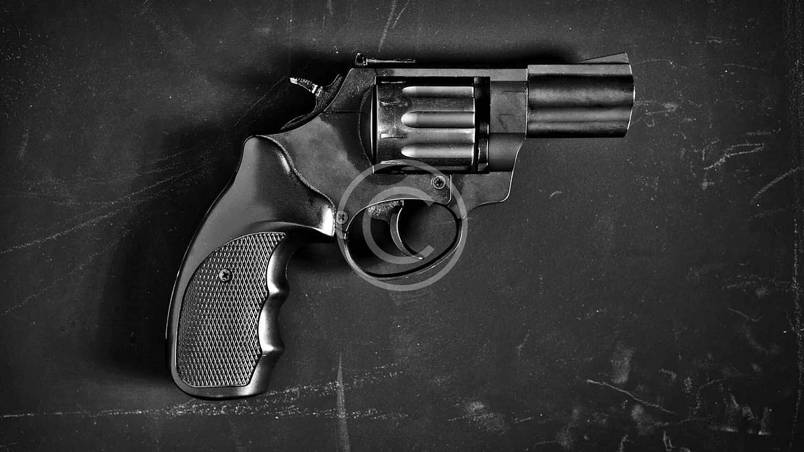 Seasoned Shooter