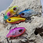 Fish Vibe (4 in a set ) limited stock