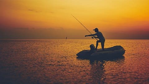 WE ARE LOOKING FOR FIELD STAFF AND PRO-STAFF